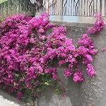 Дом отдыха Un Gioiello Con Vista Mare *