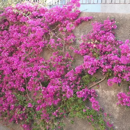 בית נופש Un Gioiello Con Vista Mare מונליה