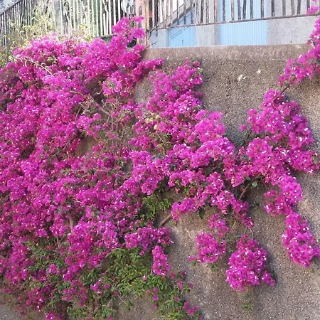 Un Gioiello Con Vista Mare Holiday home Moneglia