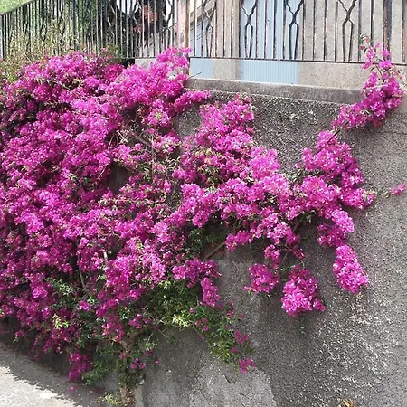 בית נופש Un Gioiello Con Vista Mare *